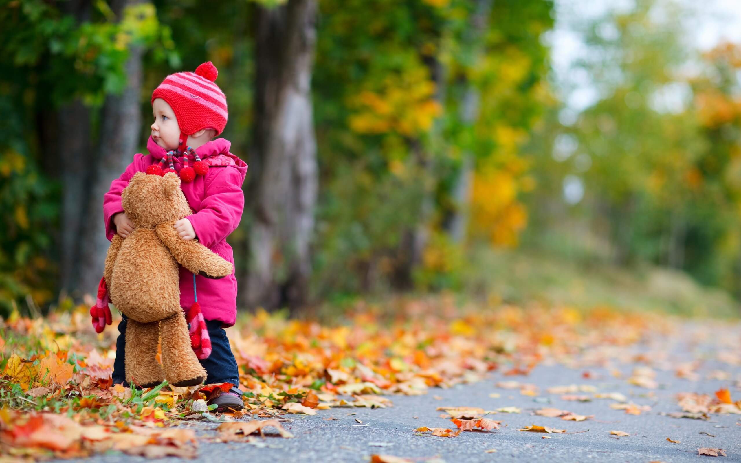 6978327-child-girl-bear-toy-autumn-leaves-nature-photo