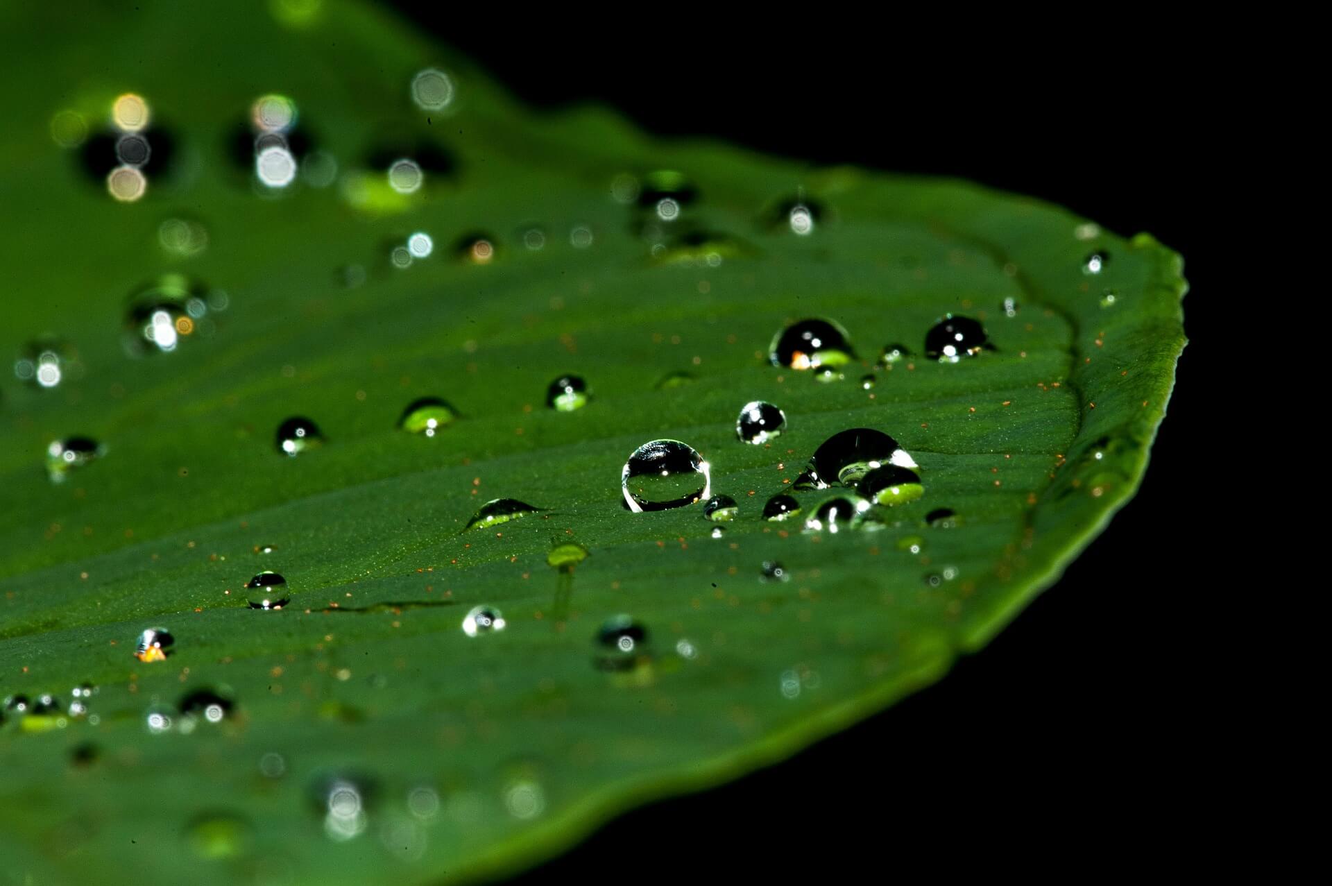 droplets-195841_1920