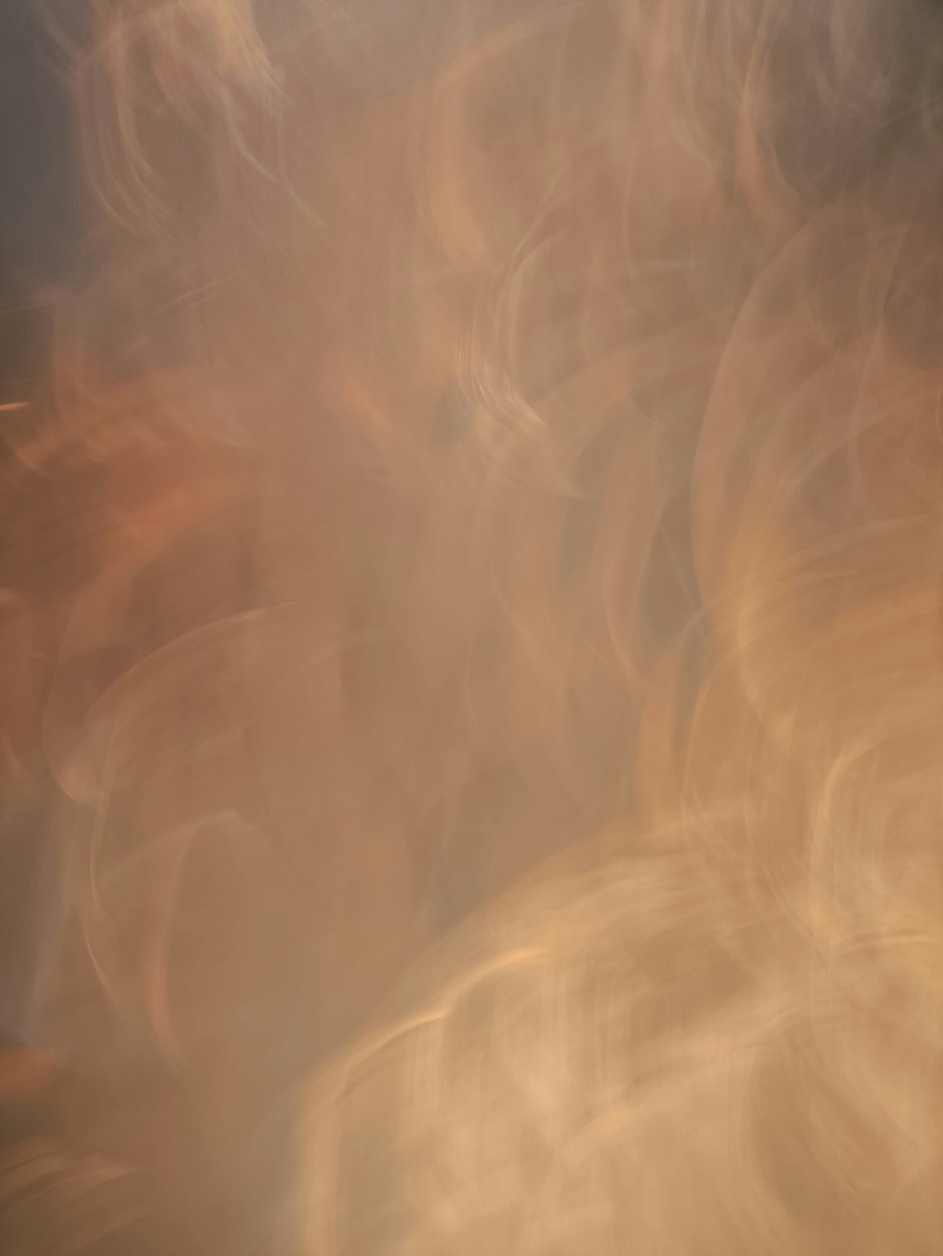 anna-evans-tk3ecl83Jis-unsplash