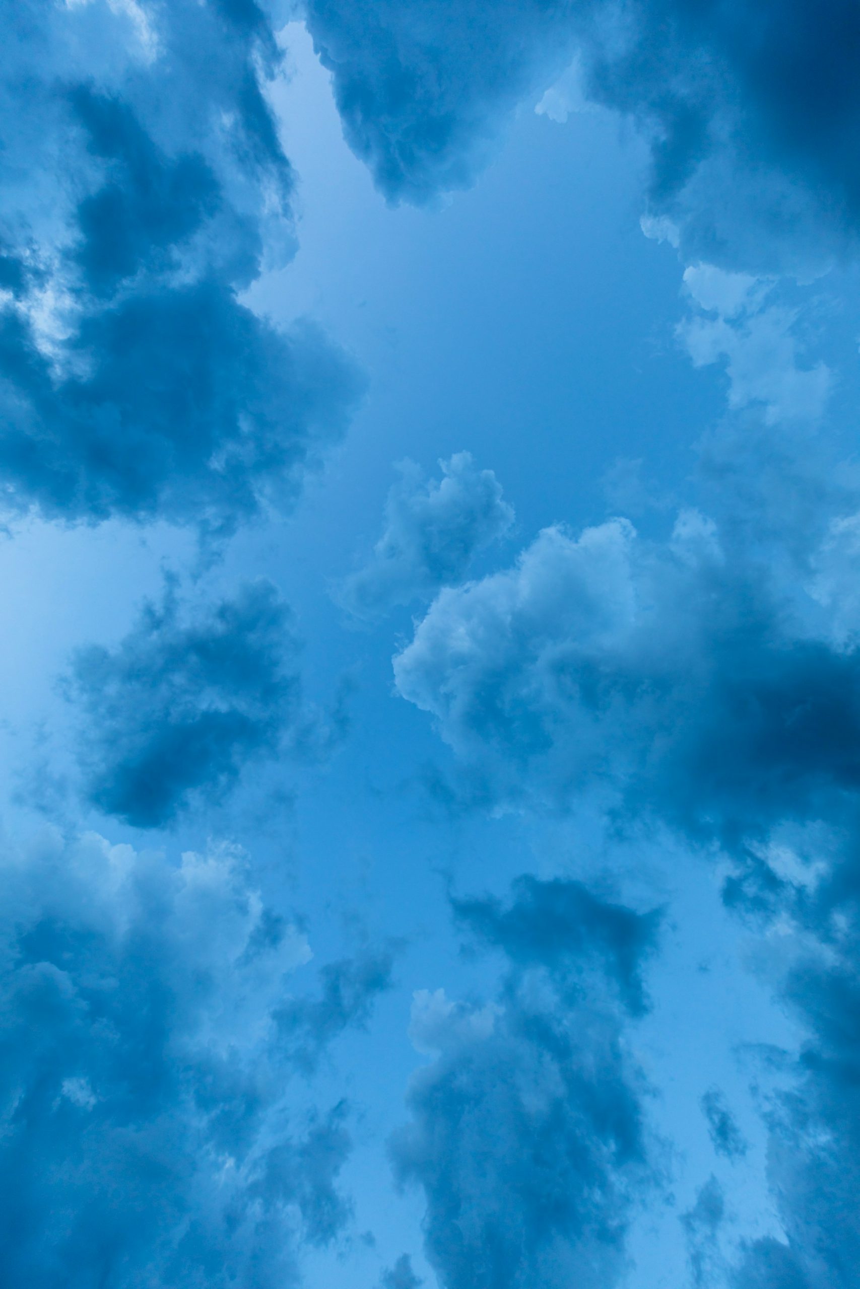 matthew-mcbrayer-qD9xzm7yK9U-unsplash