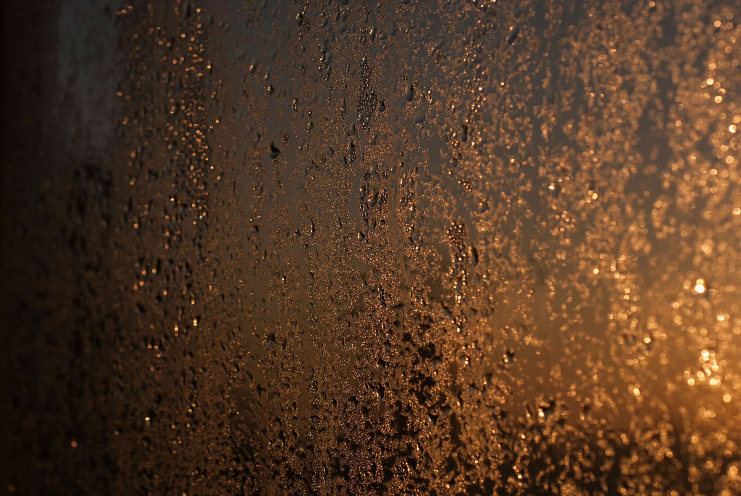olga-kovalski-Fh4-l70OtOo-unsplash